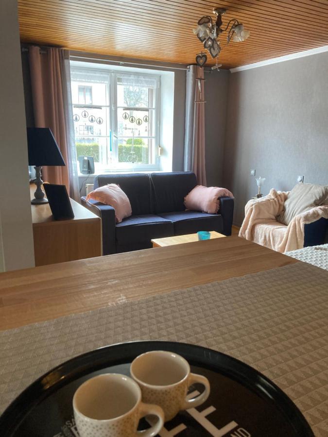 Apartment La Bresse, 50 M Du Centre Ville, 4-6 Personnes *