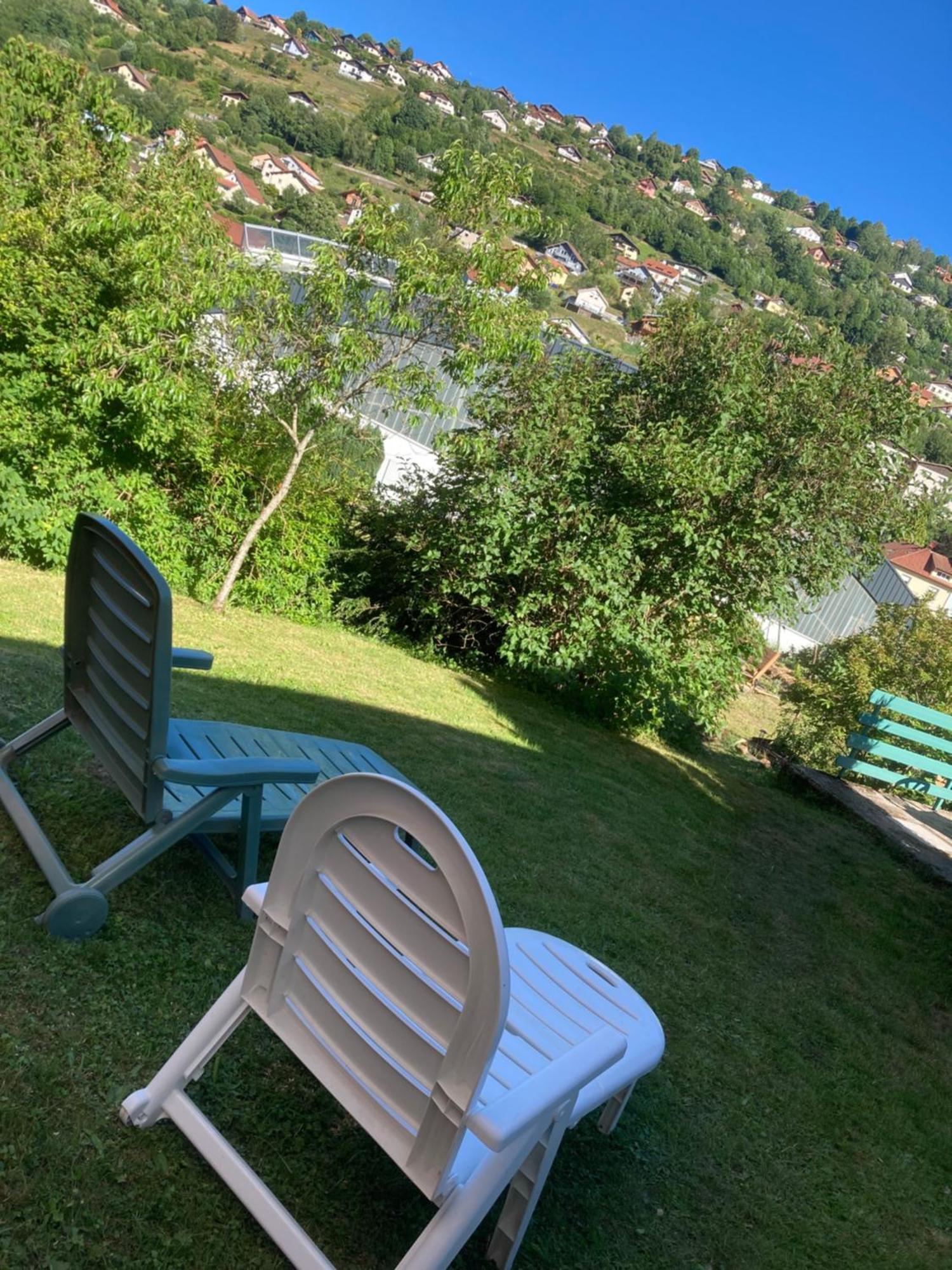 La Bresse, 50 M Du Centre Ville, 4-6 Personnes Apartment *